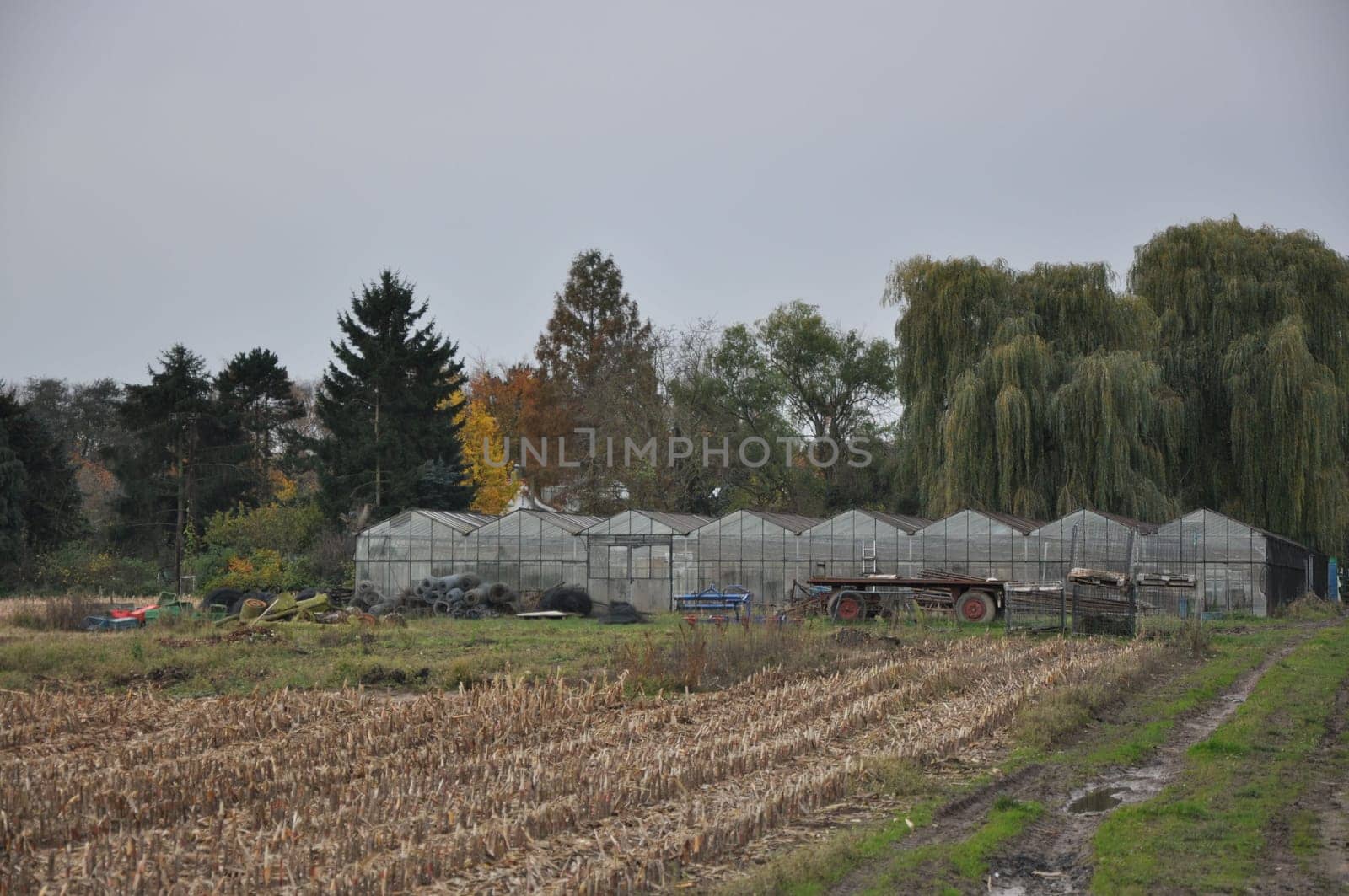 Glass greenhouse on a field with an agricultural trailer in front of it in Germany