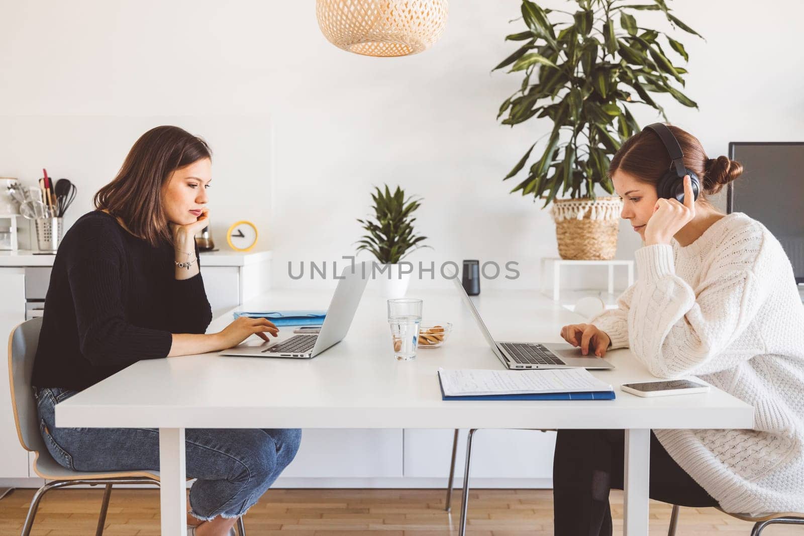 Side view of two young female students studying by the table each on her own laptop in a modern bright apartment by VisualProductions