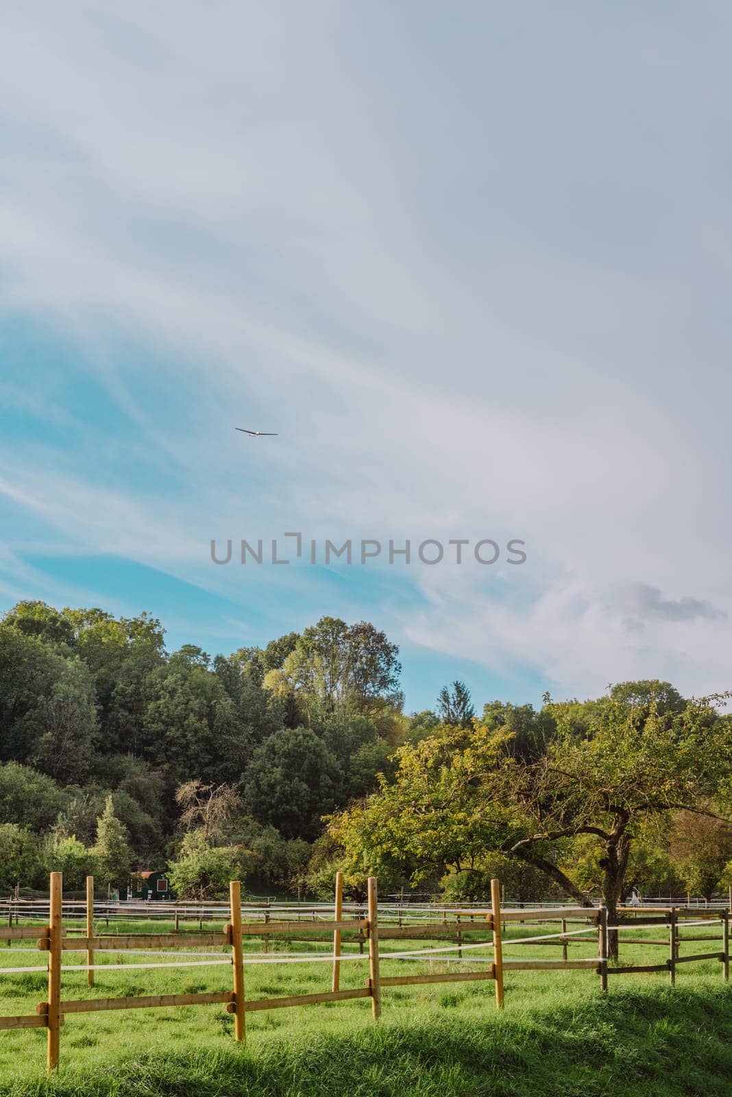 summer medow. beautiful landscape-environmental conservation concepts. Beautiful unusual spring landscape with blooming herbs against the blue sky by Andrii_Ko