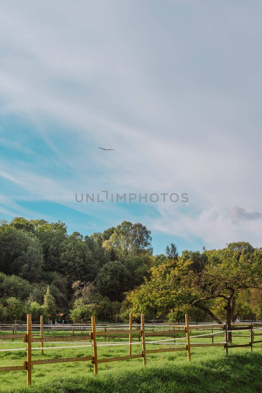 summer medow. beautiful landscape-environmental conservation concepts. Beautiful unusual spring landscape with blooming herbs against the blue sky