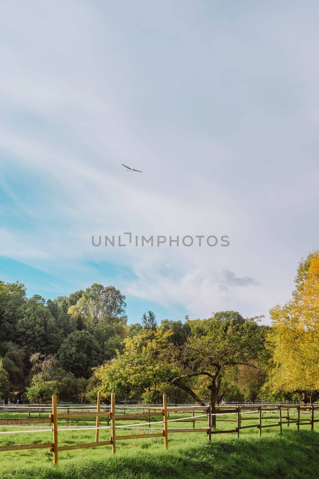 summer medow. beautiful landscape-environmental conservation concepts. Beautiful unusual spring landscape with blooming herbs against the blue sky