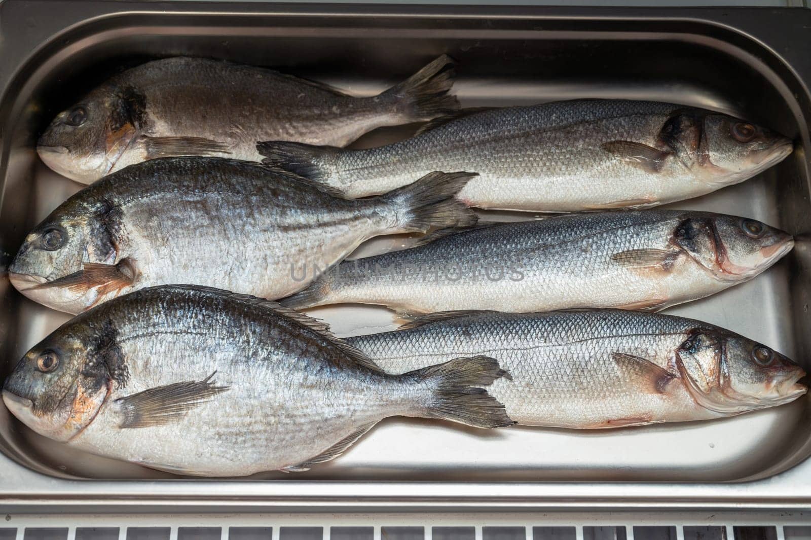 Fresh raw dorado and sea bass fish in the supermarket