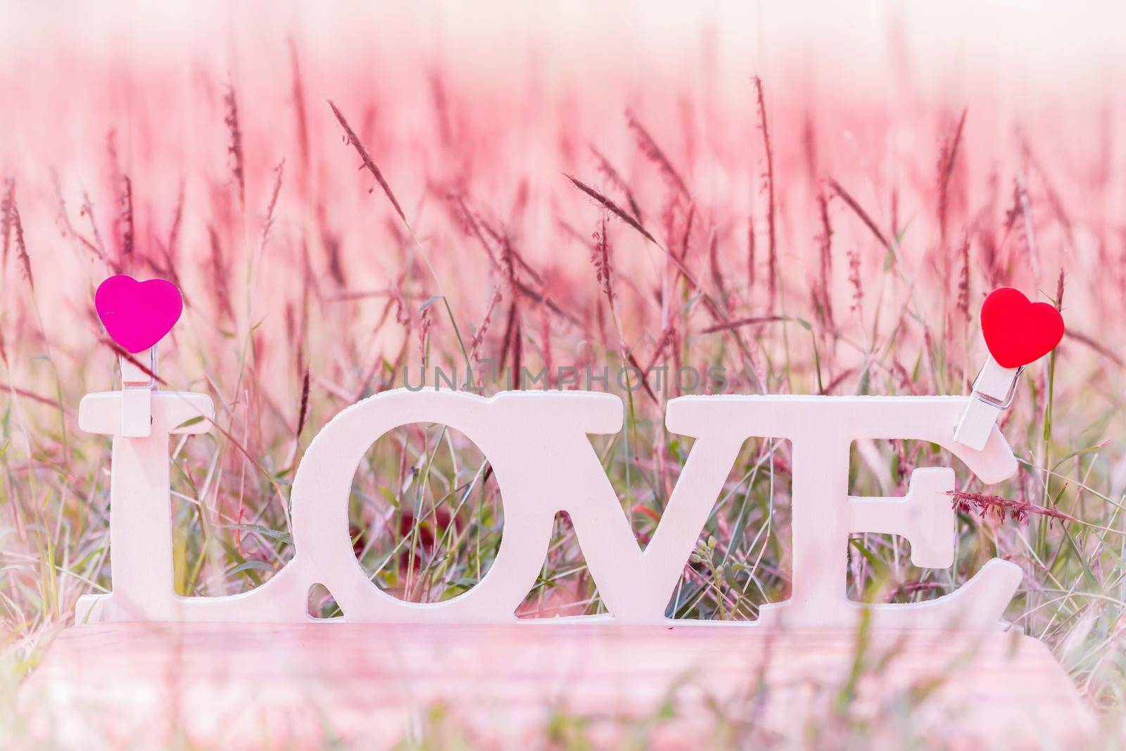 LOVE text, valentines day background romantic moment in nature by Kumma