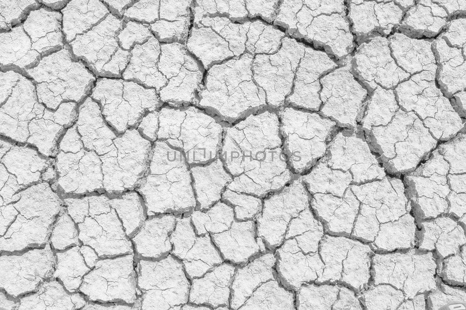 Soil drought cracks texture white background for design.