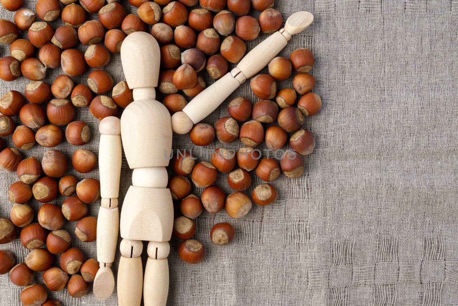 Hazelnut nuts on a linen napkin. Bulk Hazelnut kernel. Copy space