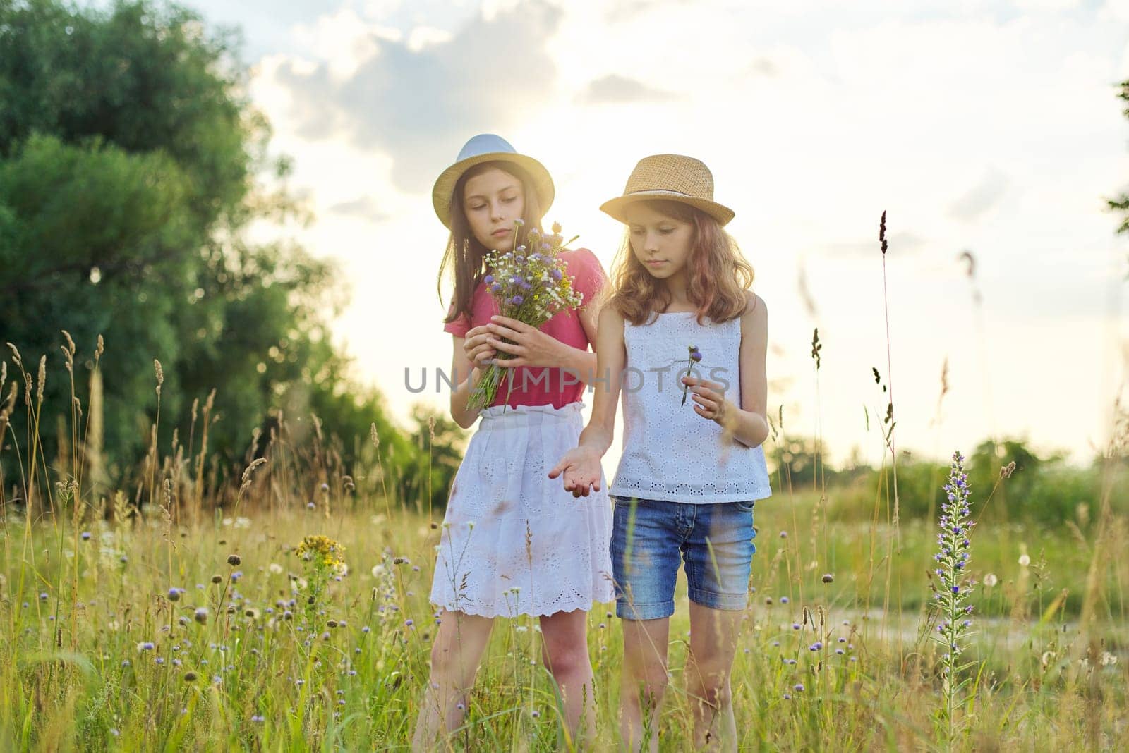 Two beautiful pretty girls kids tearing wildflowers walking in sunny meadow, picturesque landscape, golden hour. Childhood, summer, nature, beauty, children concept