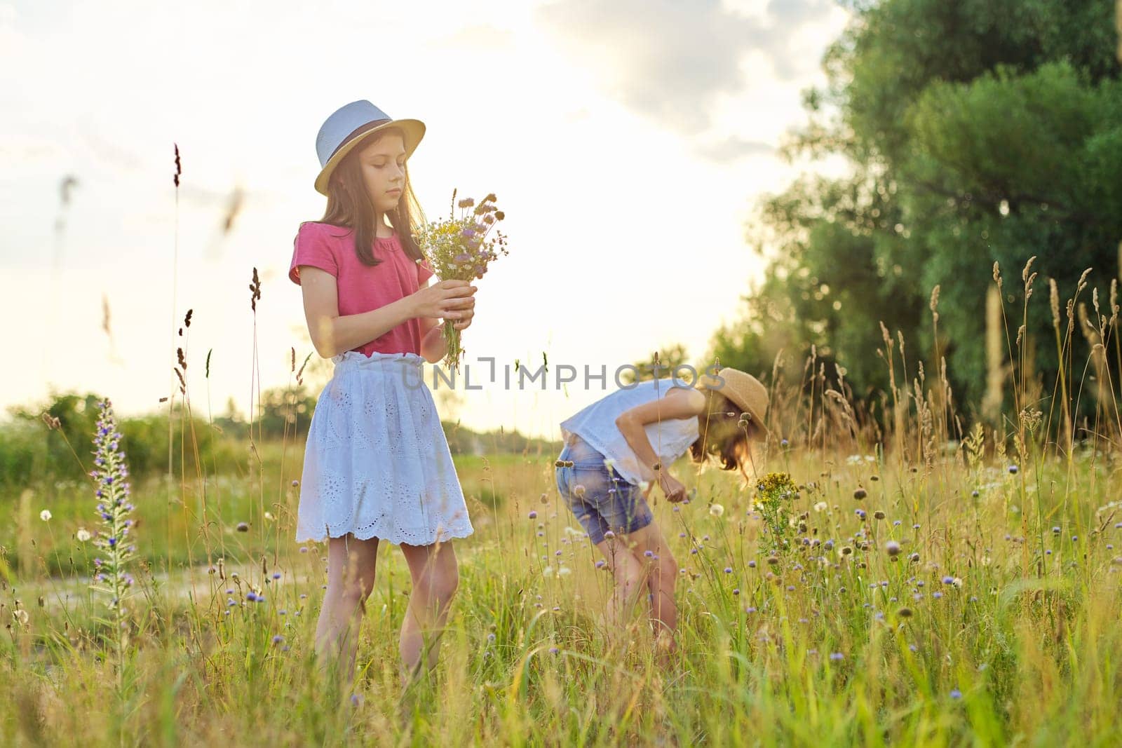 Two pretty girls children walking in a sunny meadow picking wildflowers in a bouquet. Summer holidays, nature, happy childhood, friendship concept