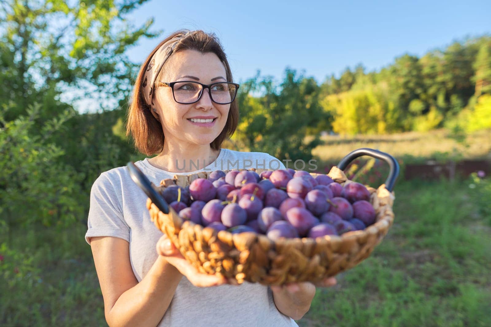 Female gardener with crop of plums in basket, garden background by VH-studio