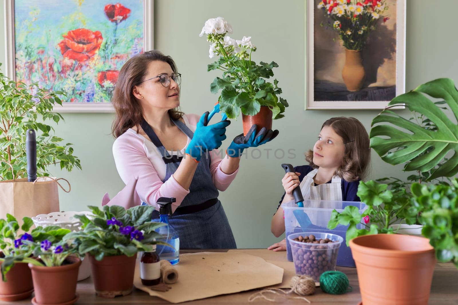 Mother and daughter child plant potted plants, flowers by VH-studio