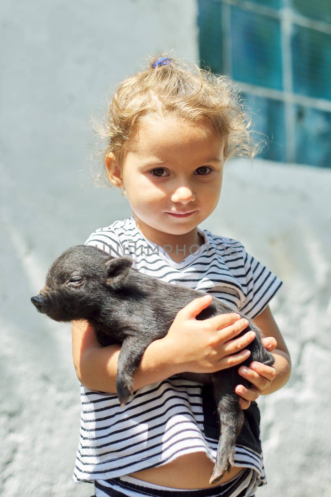 Girl child toddler holding in hands of black newborn baby piglet by VH-studio