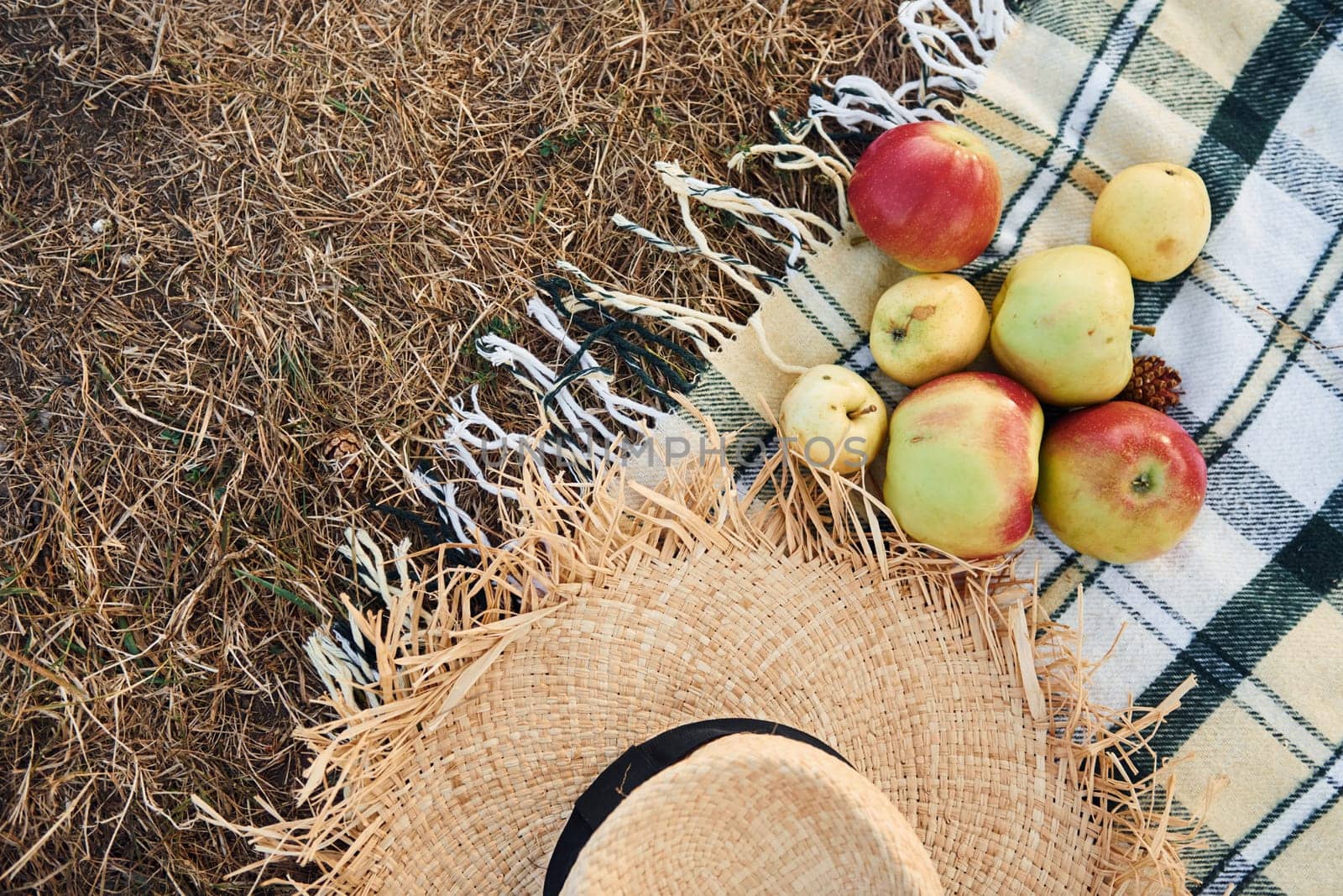 Top view of fresh apples and straw hat that lying down on picnic cloth outdoors.