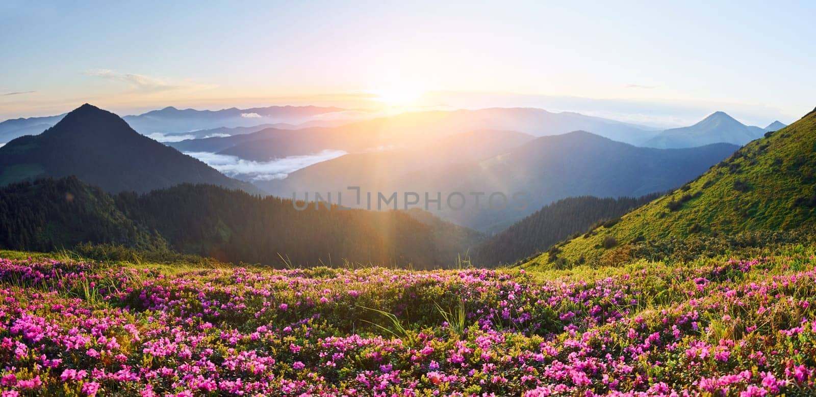 Suset time. Majestic Carpathian Mountains. Beautiful landscape of untouched nature.