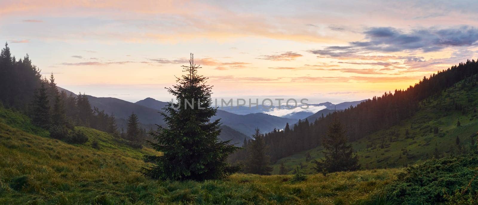 Suset time. Majestic Carpathian Mountains. Beautiful landscape of untouched nature.