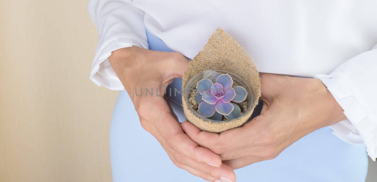 A woman in a white blouse holds in her hands a small pot of Echeveria Perle von Nuremberg in burlap.