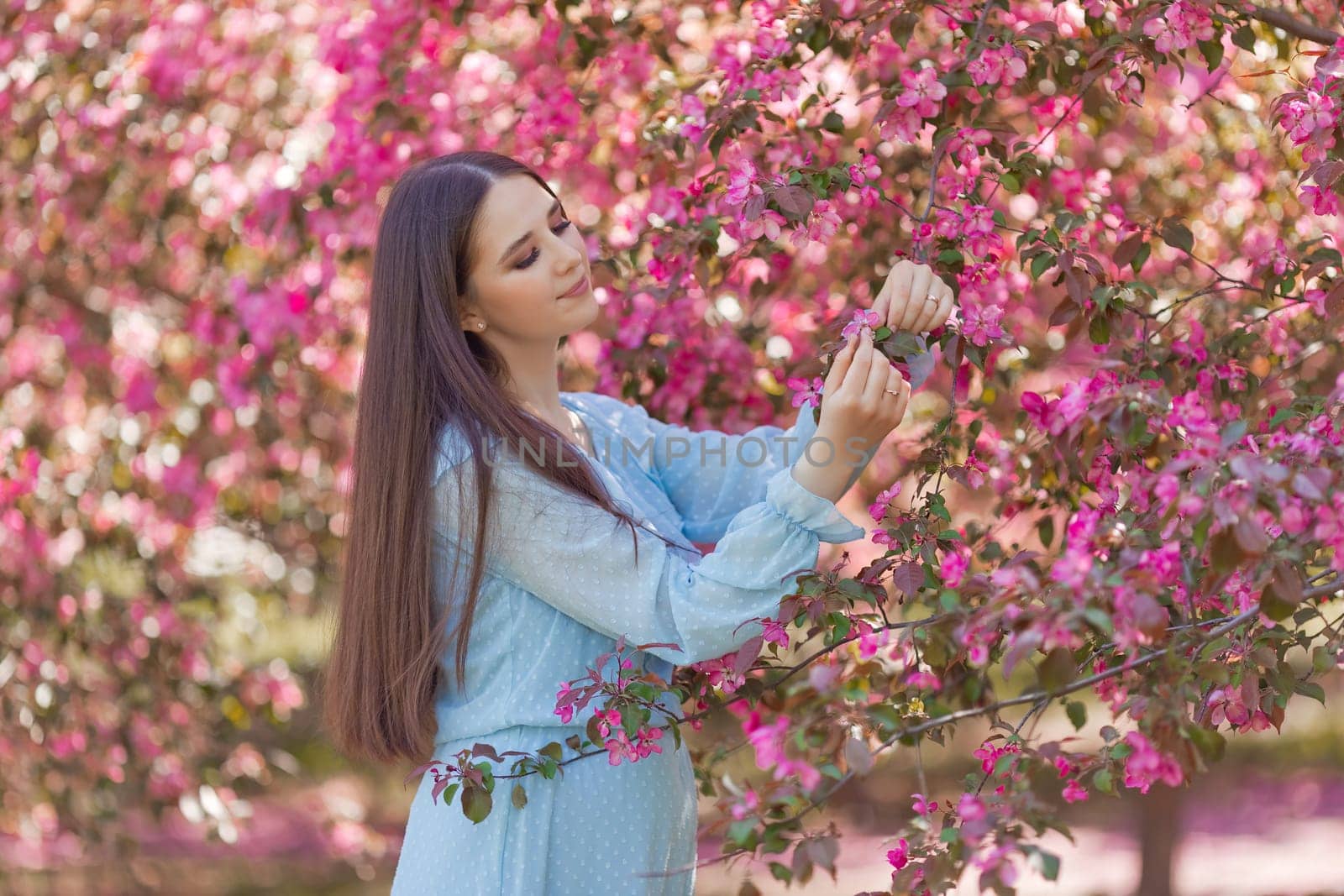Beautiful brunette girl with long hair, in light blue dress, stands near a pink blooming apple tree. Close up