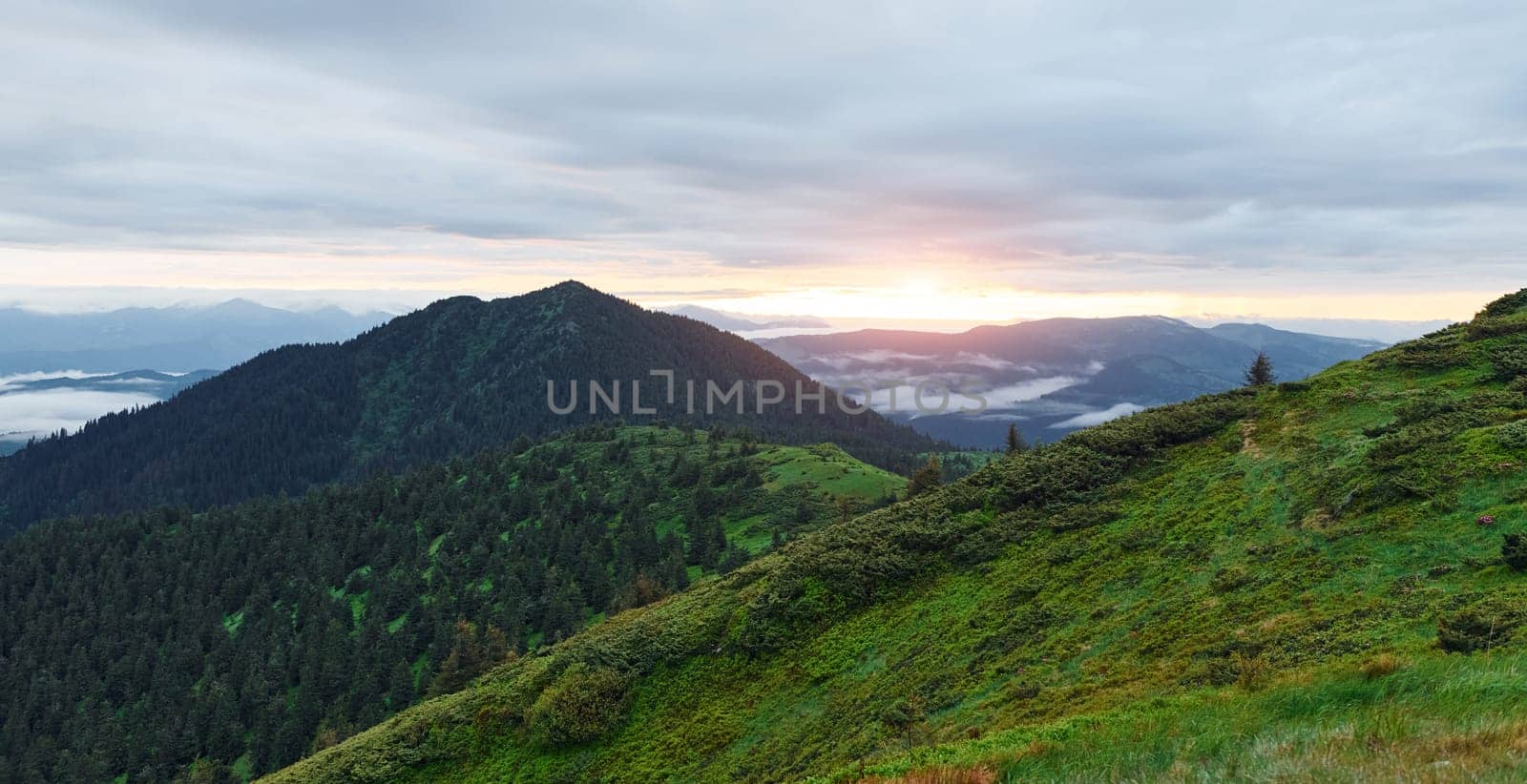 Majestic Carpathian Mountains. Beautiful landscape of untouched nature.