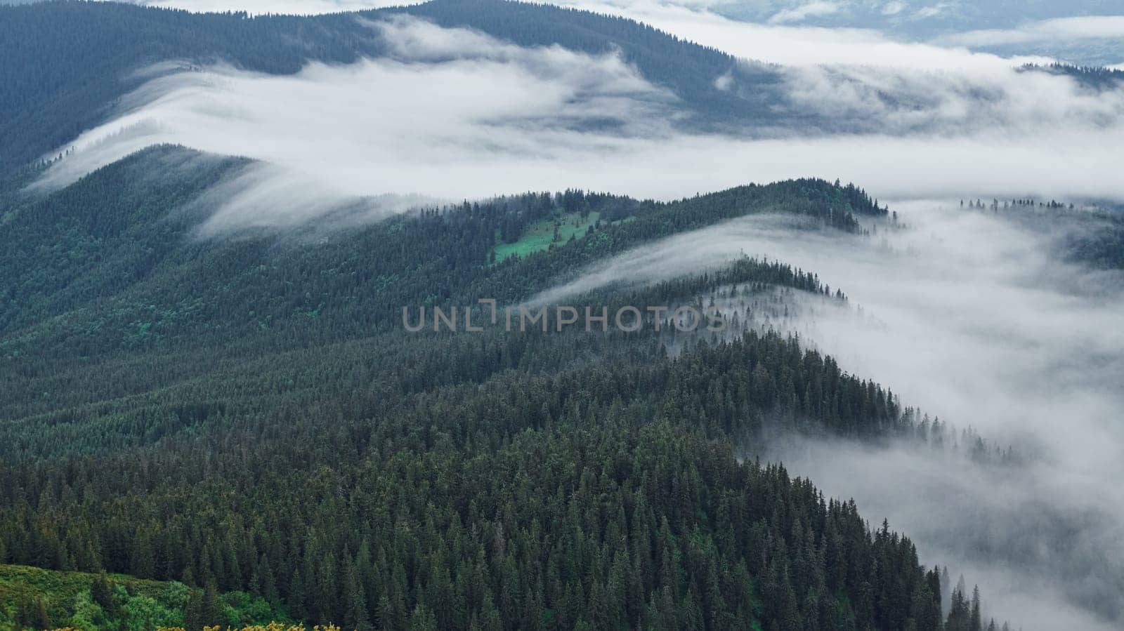 Fog covered hills. Majestic Carpathian Mountains. Beautiful landscape of untouched nature.