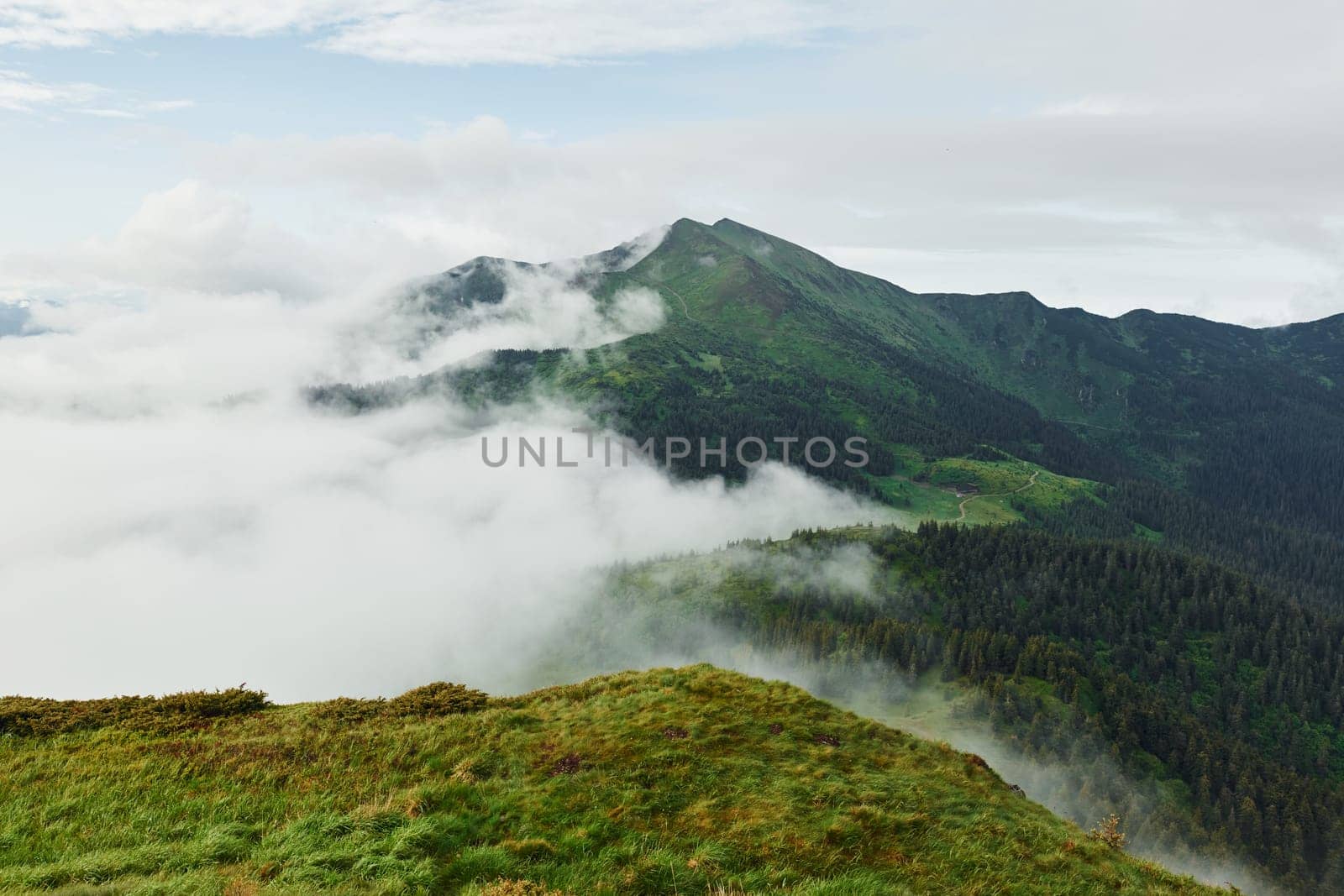 Fog covered hills. Majestic Carpathian Mountains. Beautiful landscape of untouched nature.