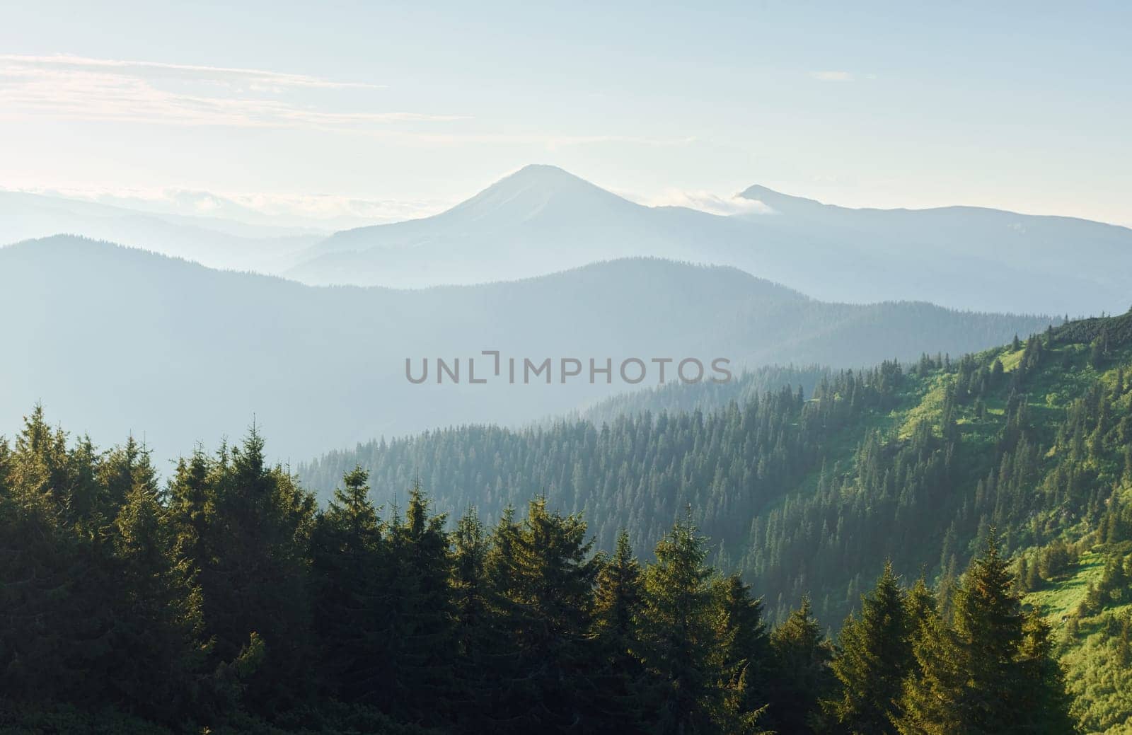 Majestic Carpathian Mountains. Beautiful landscape of untouched nature.
