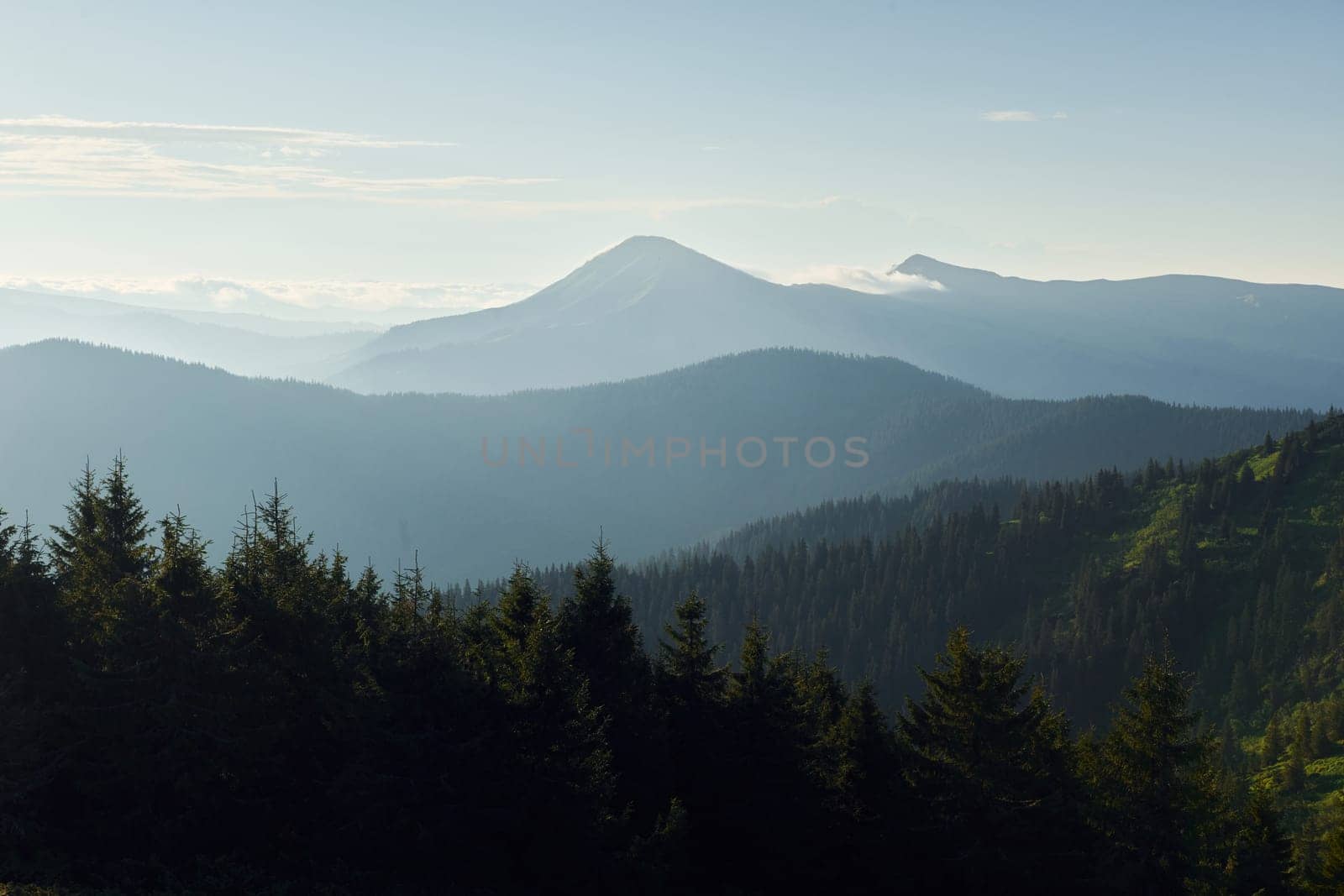 Majestic Carpathian Mountains. Beautiful landscape of untouched nature.