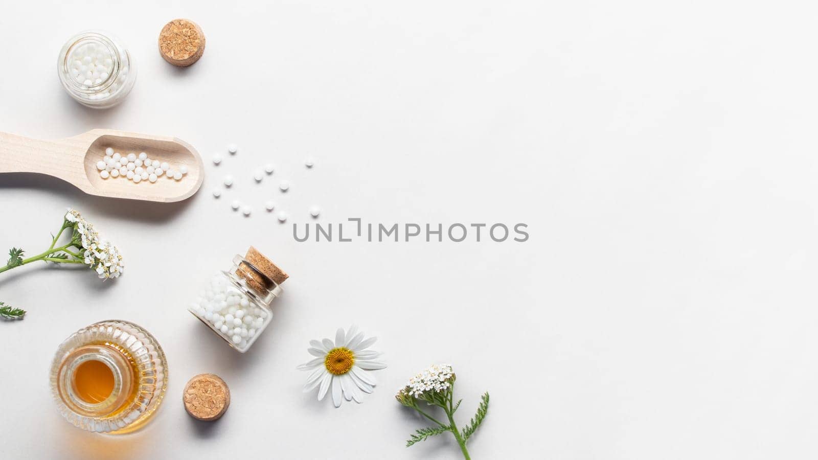 Homeopathic medicines and medicinal plants on a light background, copy space, flatlay.