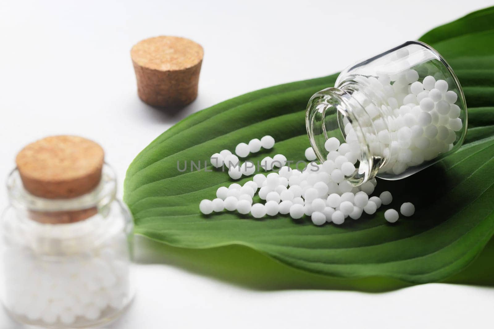 Homeopathic pills scattered from a bottle on a green leaf.