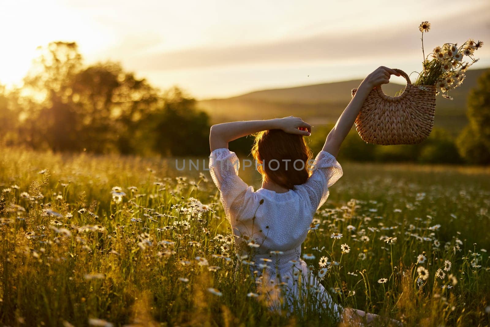 silhouette of a woman in a light dress sits in a chamomile field at sunset and holds a wicker basket of flowers raised in her hand by Vichizh