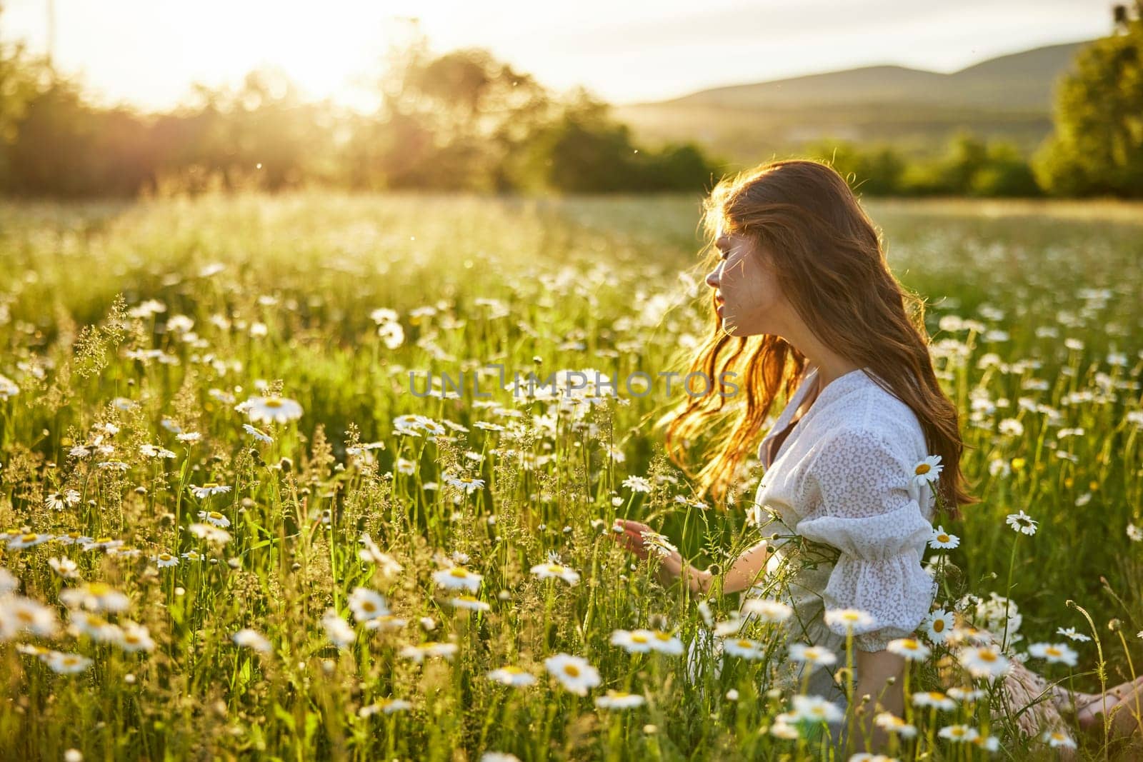 a beautiful woman in a light dress sits in a field of daisies against the backdrop of the setting sun and inhales their fragrance. High quality photo