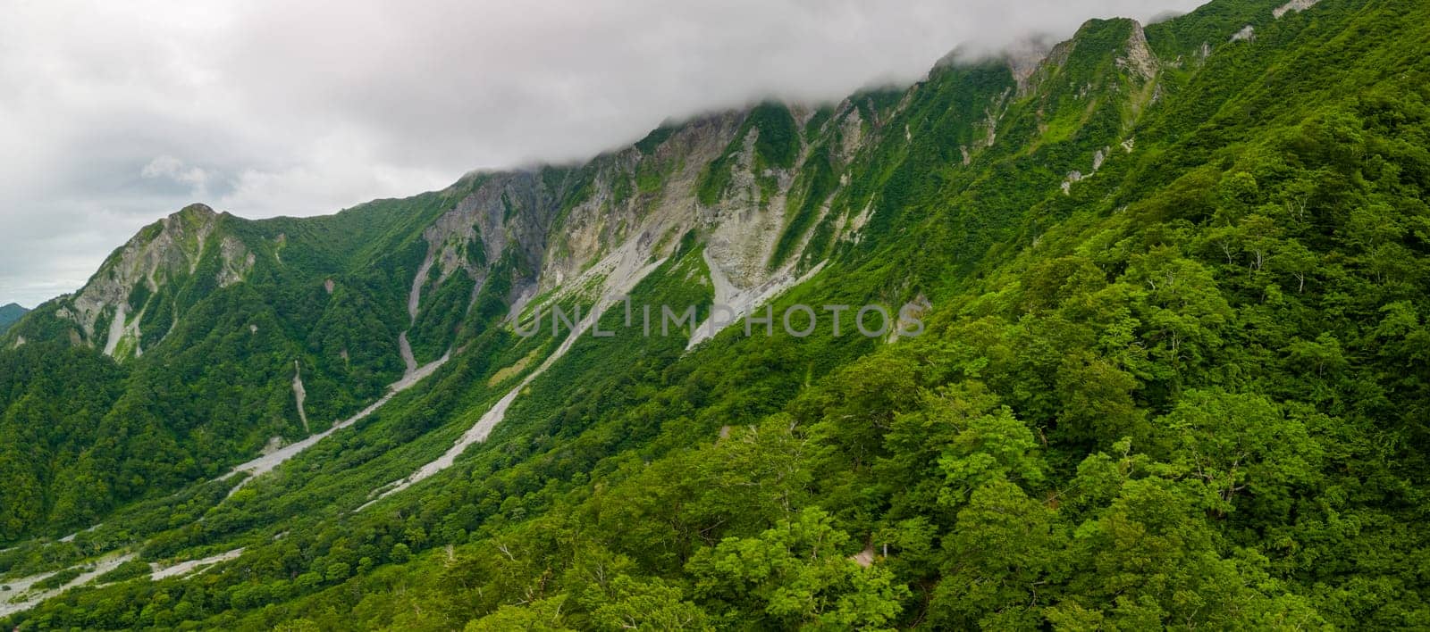 View of rock landslides on steep forested slope of volcanic mountain. High quality photo