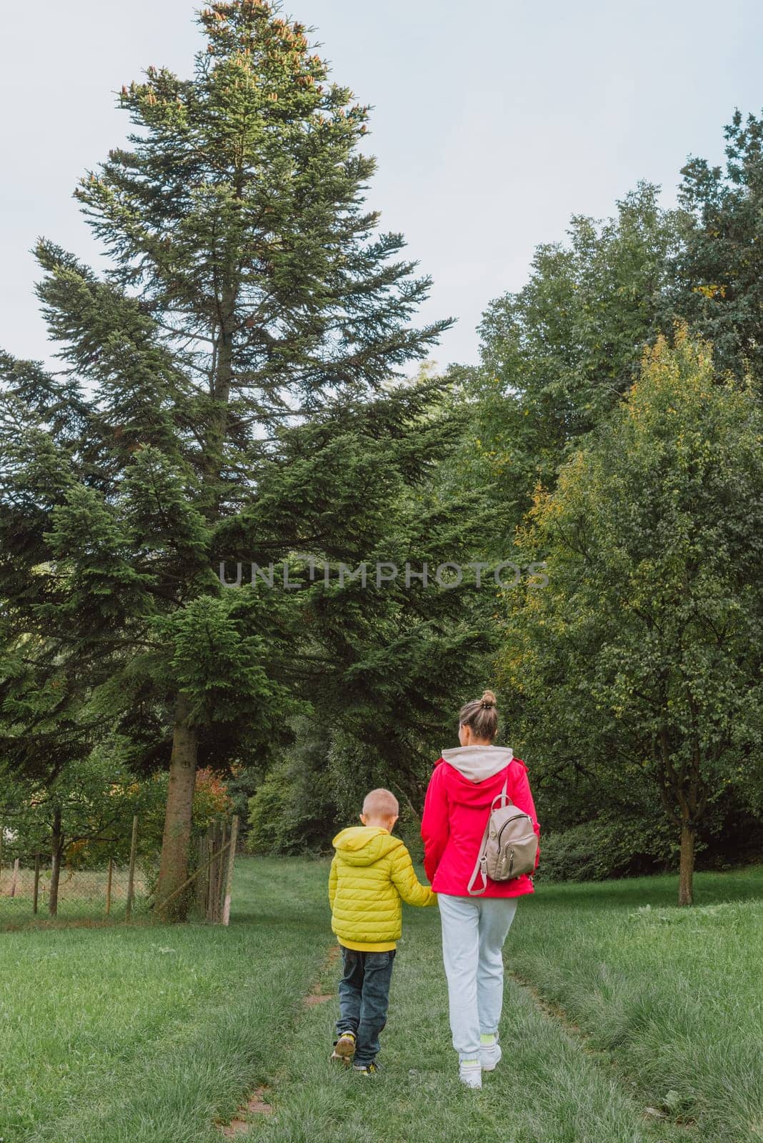 Beautiful family -Mom with small son on a walk in autumn sunny nature. Happy couple holding hands. Back view. Young mother with her little baby boy having fun in the autumn park by Andrii_Ko