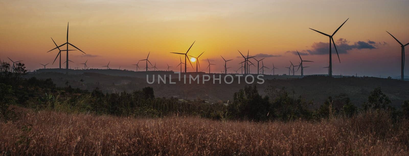 Beautiful landscape. Field on foreground wind turbines on foreground at sunset. Panorama
