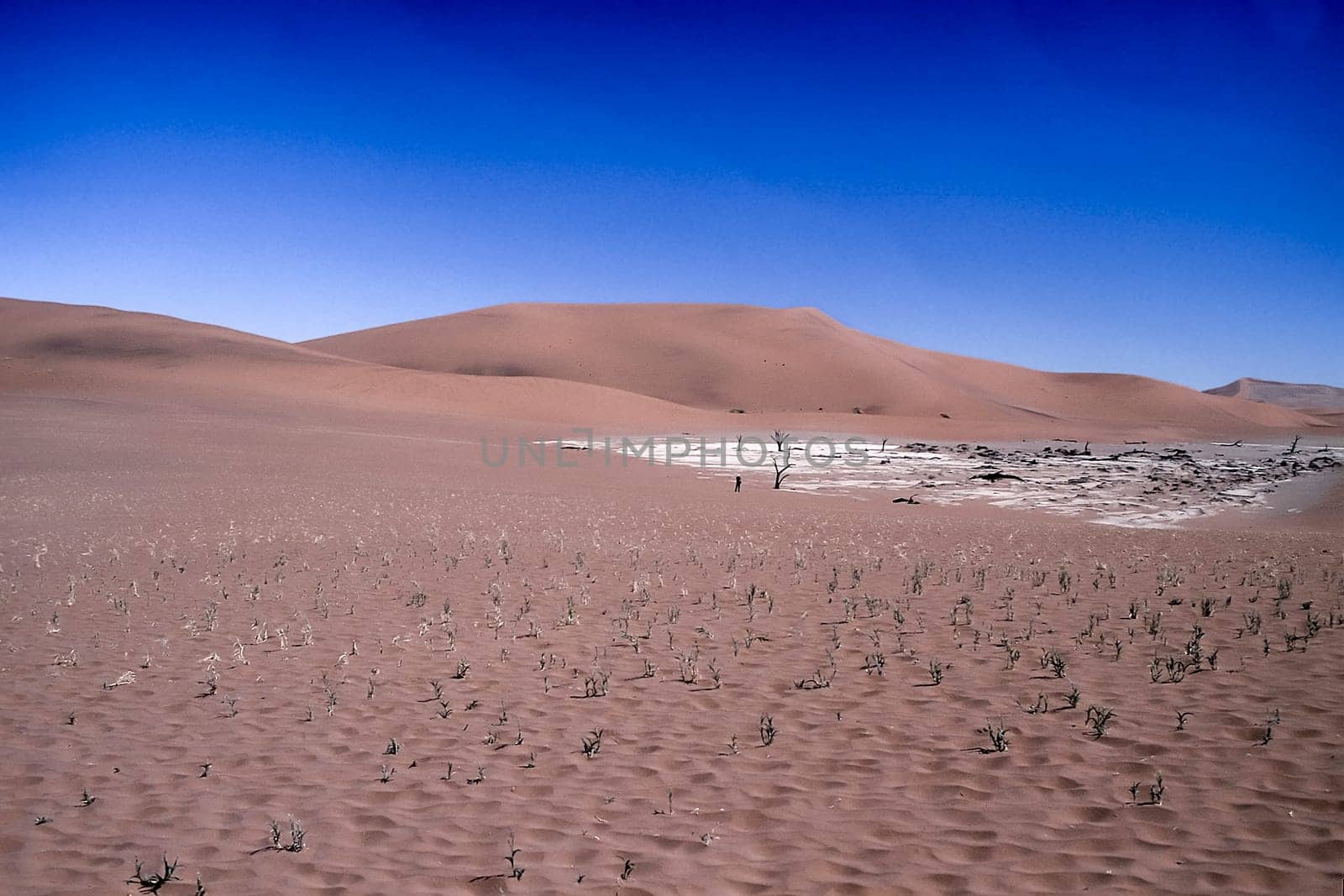 Africa, Namibia, Hardap, Namib Naukluft Park, Deadvlei