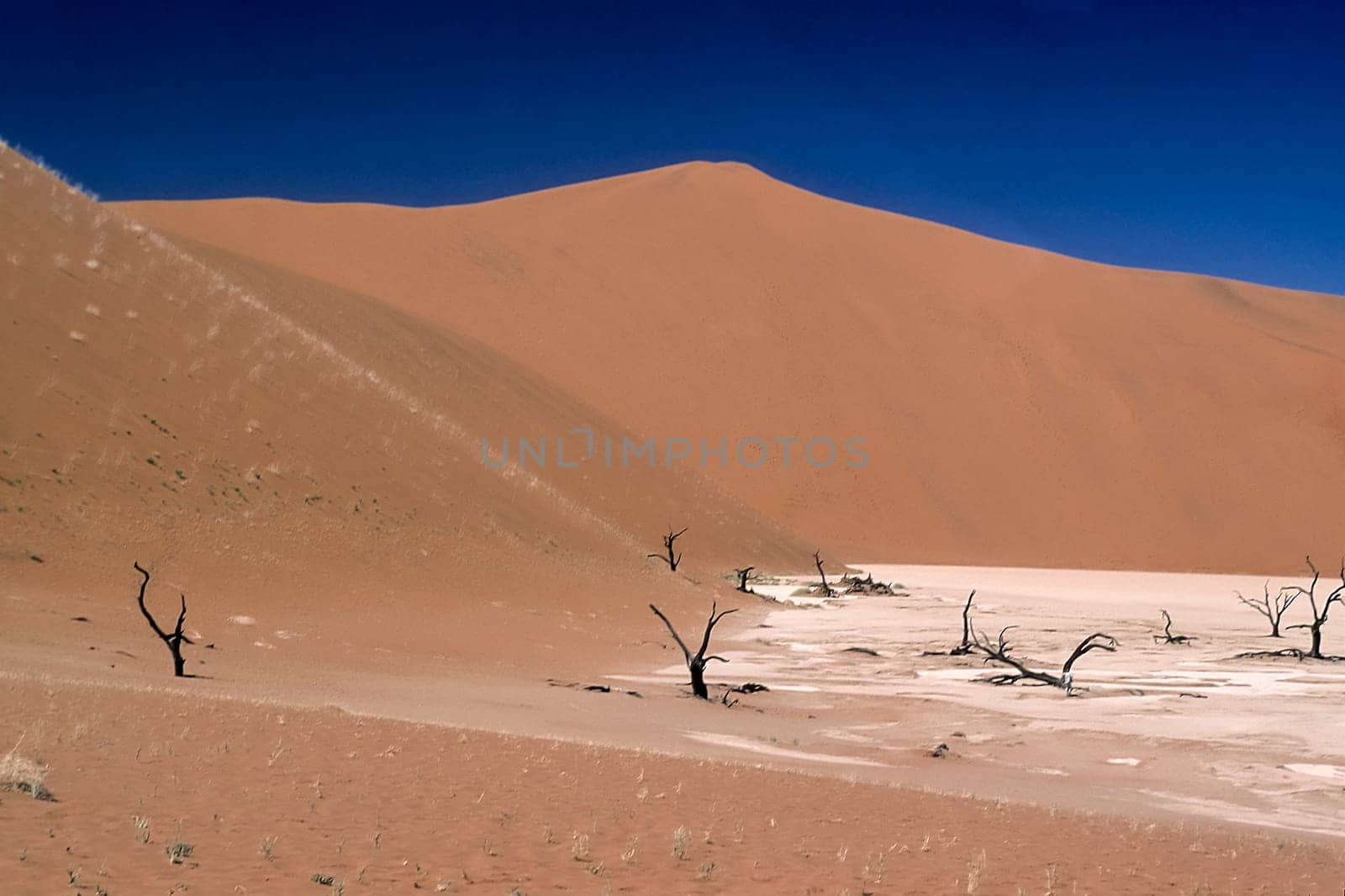 Africa, Namibia, Hardap, Namib Naukluft Park, Deadvlei