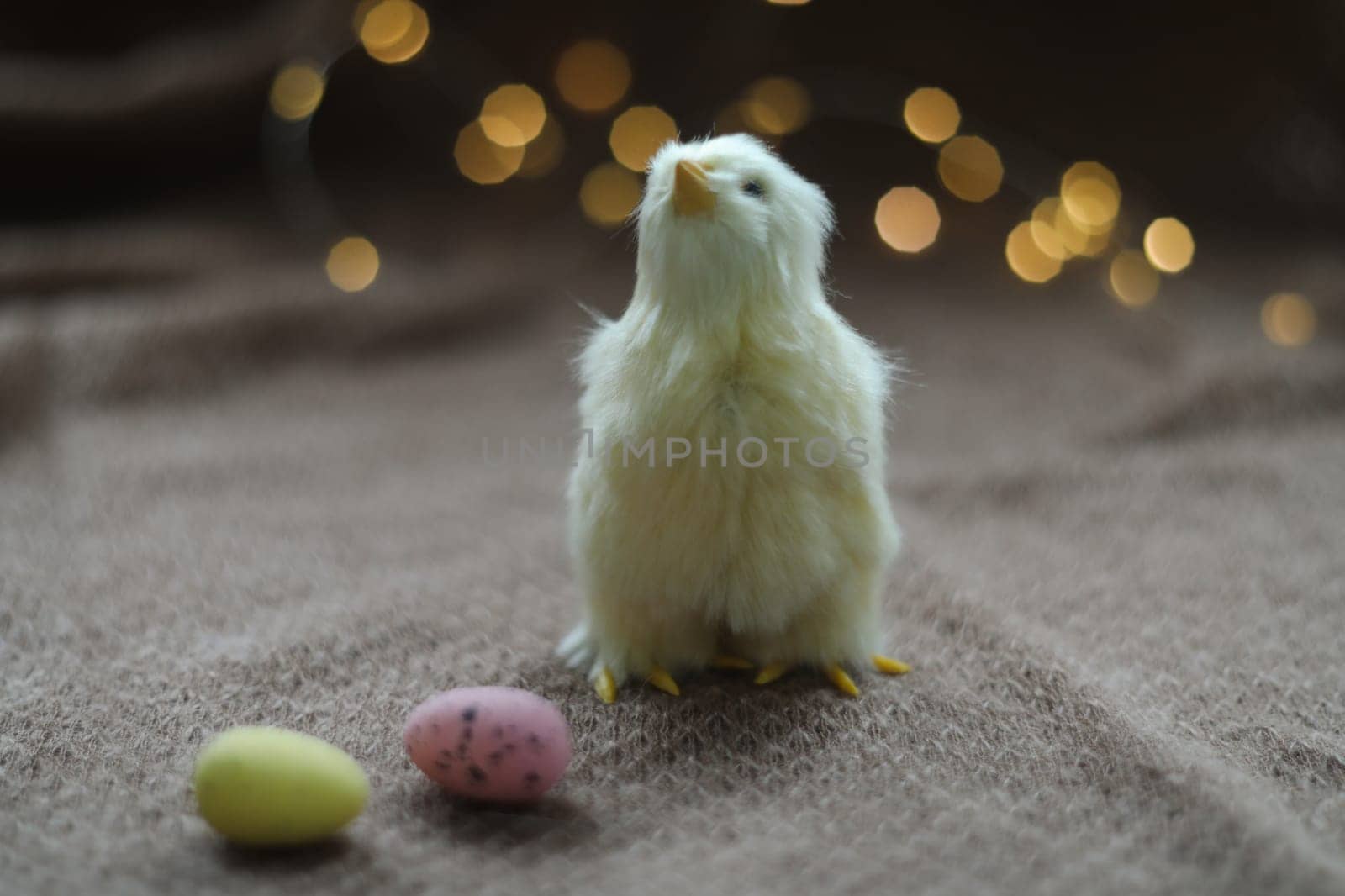 cute decorative Easter chicken on abstract blurred white background. festive composition for Easter holiday, spring season. template for design. copy space.