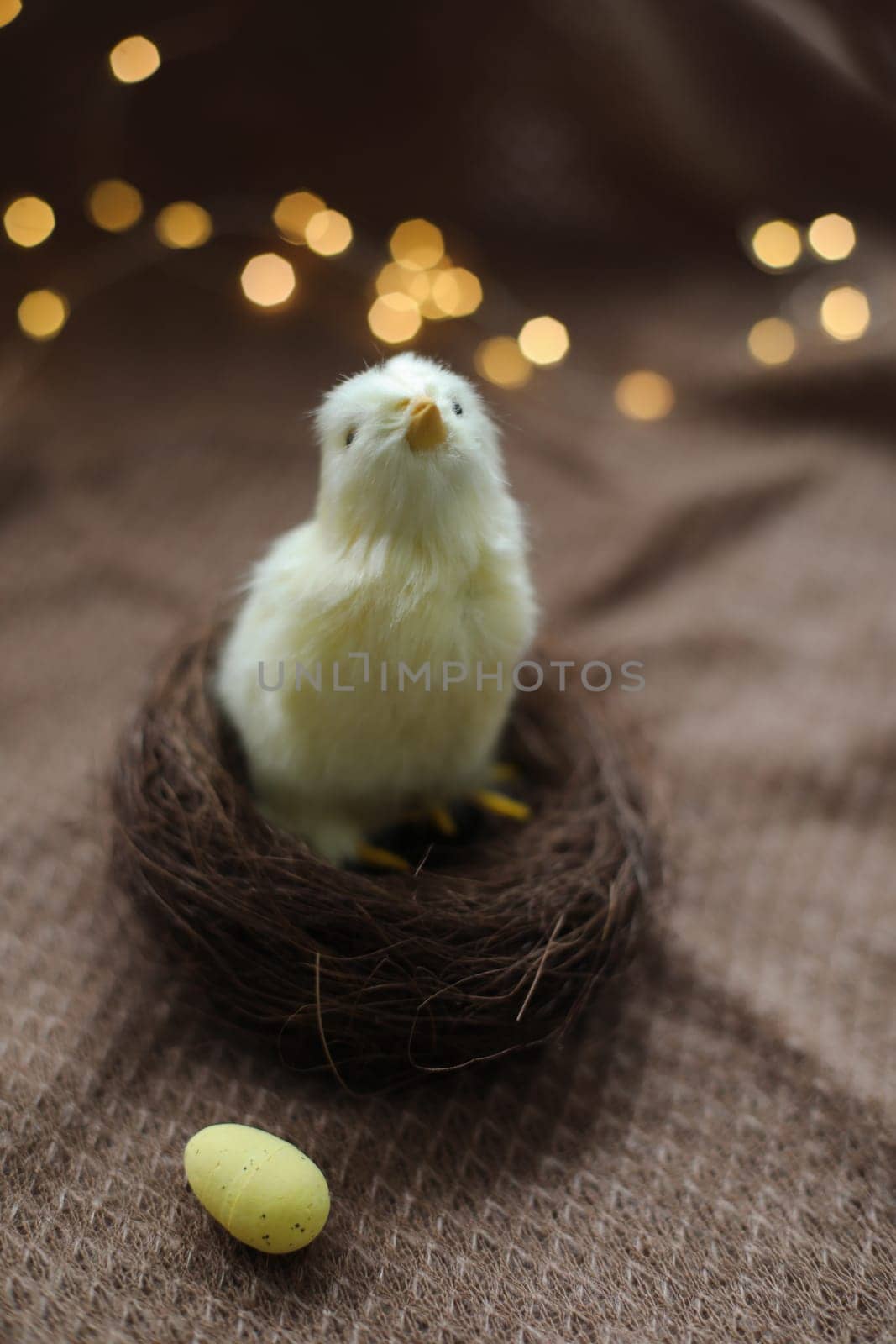 cute decorative Easter chicken on abstract blurred white background. festive composition for Easter holiday, spring season. template for design. copy space.