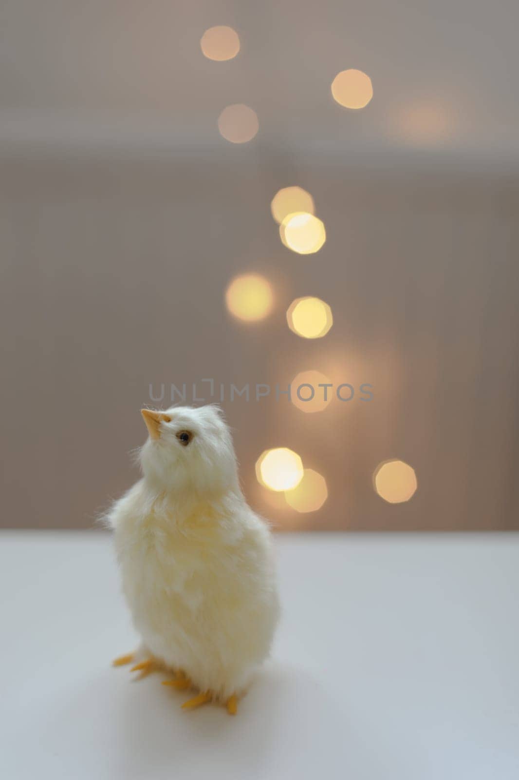 Close-up of a small yellow chicken. Easter card with a copy space. Spring Easter decor. Template for design. copy space. Wallpaper or Banner against blurred festive lights by paralisart