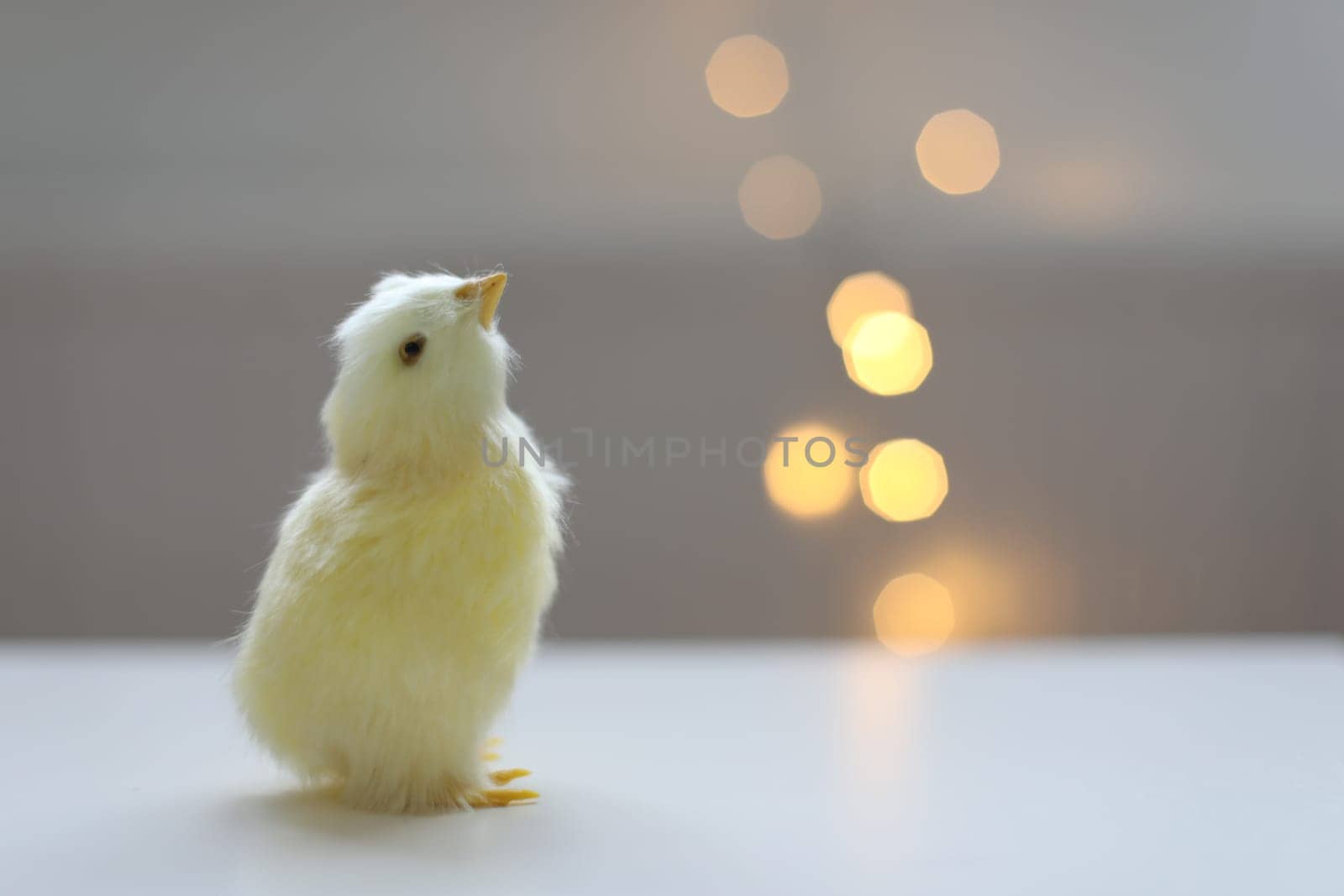 cute decorative Easter chicken on abstract blurred white background. festive composition for Easter holiday, spring season. template for design. copy space.