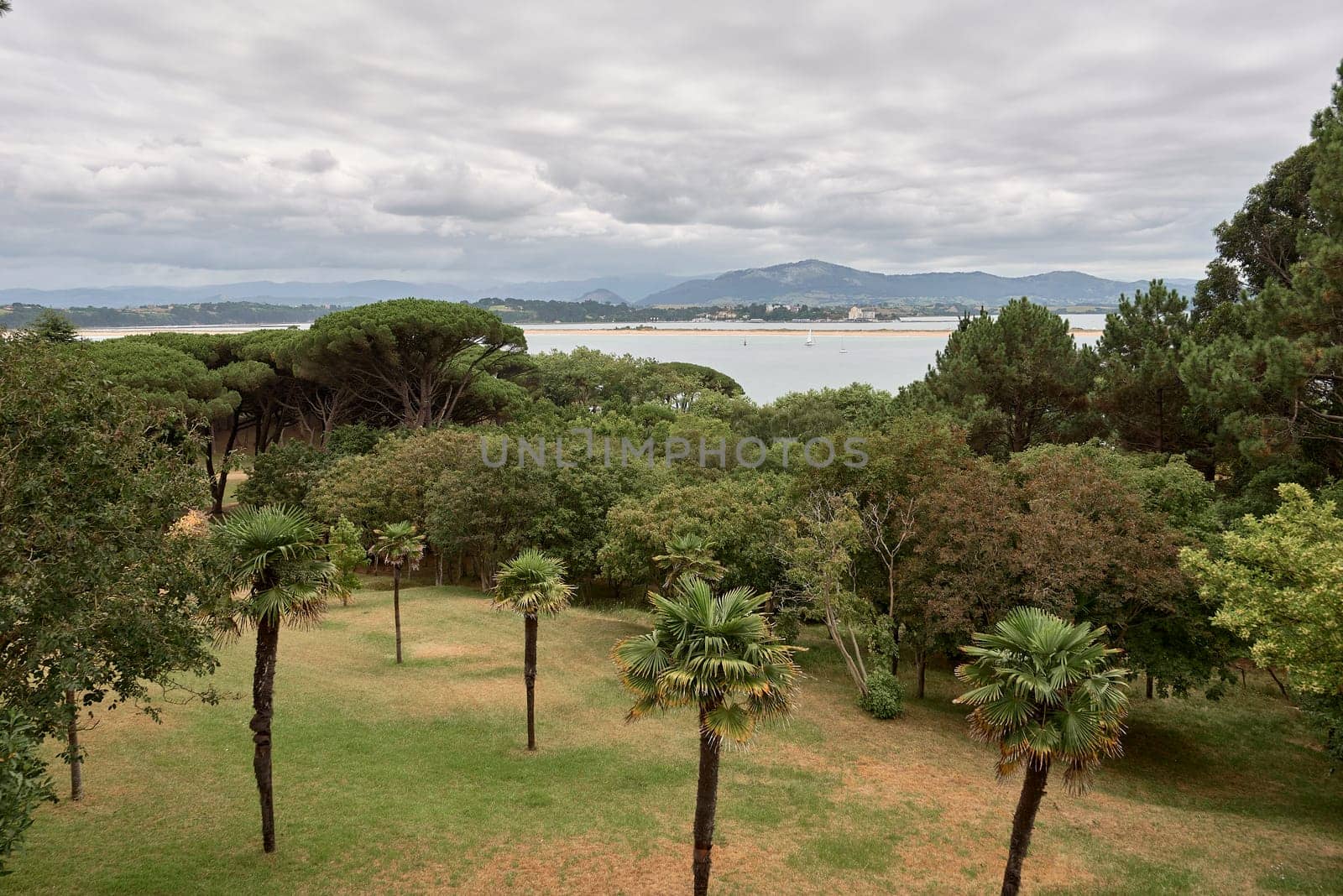 Santander Bay with boats on cloudy day. Close-up with trees and lush mountains, pine trees, sand,