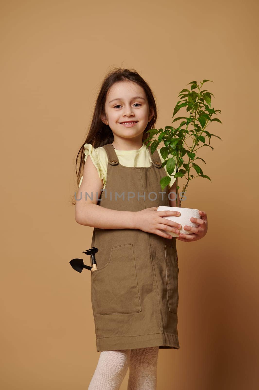 Lovely Caucasian child girl, little gardener horticulturist in khaki overalls and yellow t-shirt, smiling a toothy smile at camera, carrying a flowering pepper plant and garden tools on beige backdrop