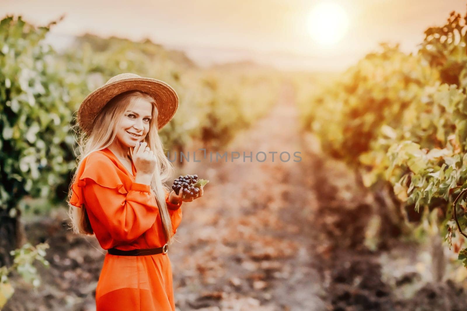 Portrait of a happy woman in summer vineyards at sunset. a woman in a hat and a red dress holds black grapes in her hands.