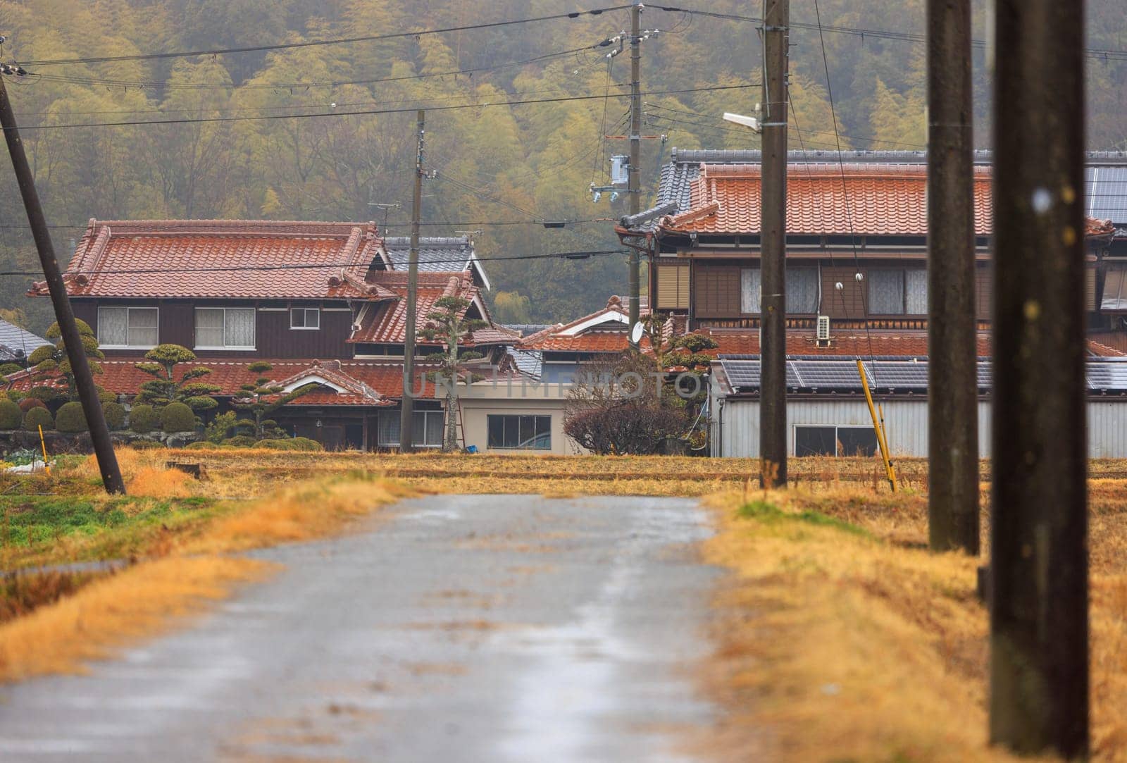 Road to Traditional Japanese Houses in Rural Village on Rainy Winter Day by Osaze