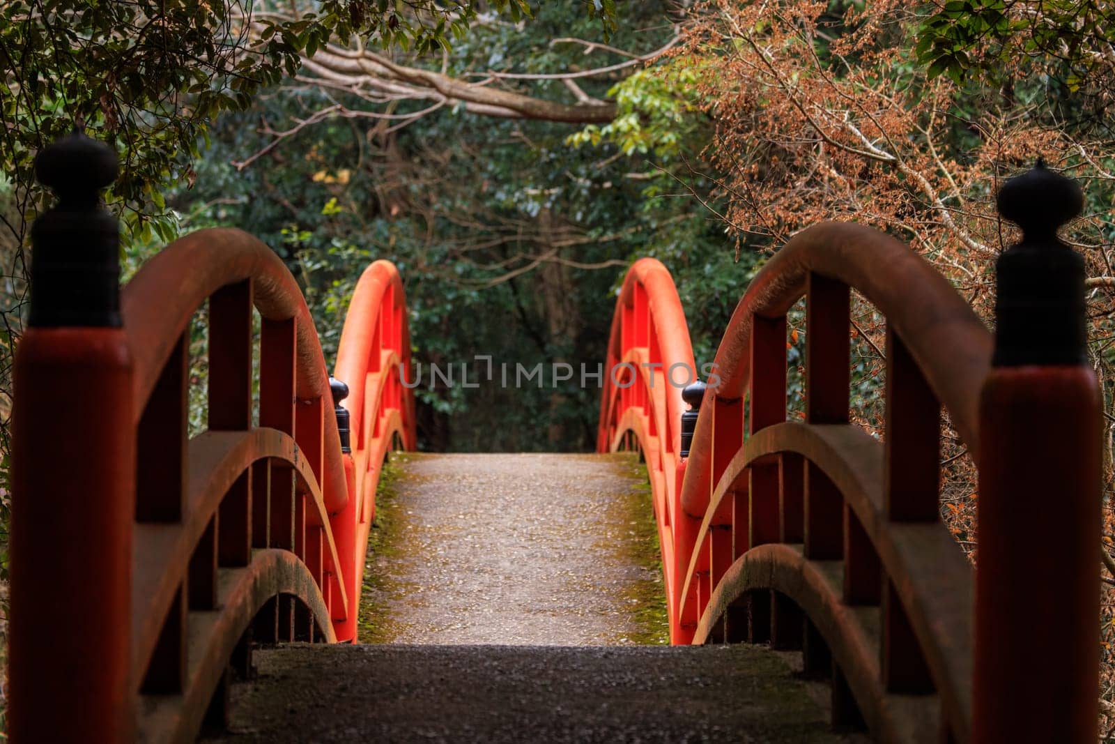 Red arched bridge through empty forest in morning light by Osaze