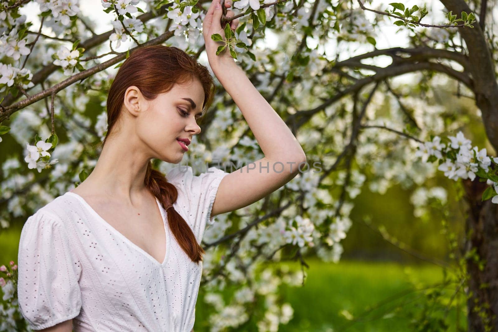 a beautiful, lovely woman stands next to a flowering tree holding her hands on the branches. High quality photo