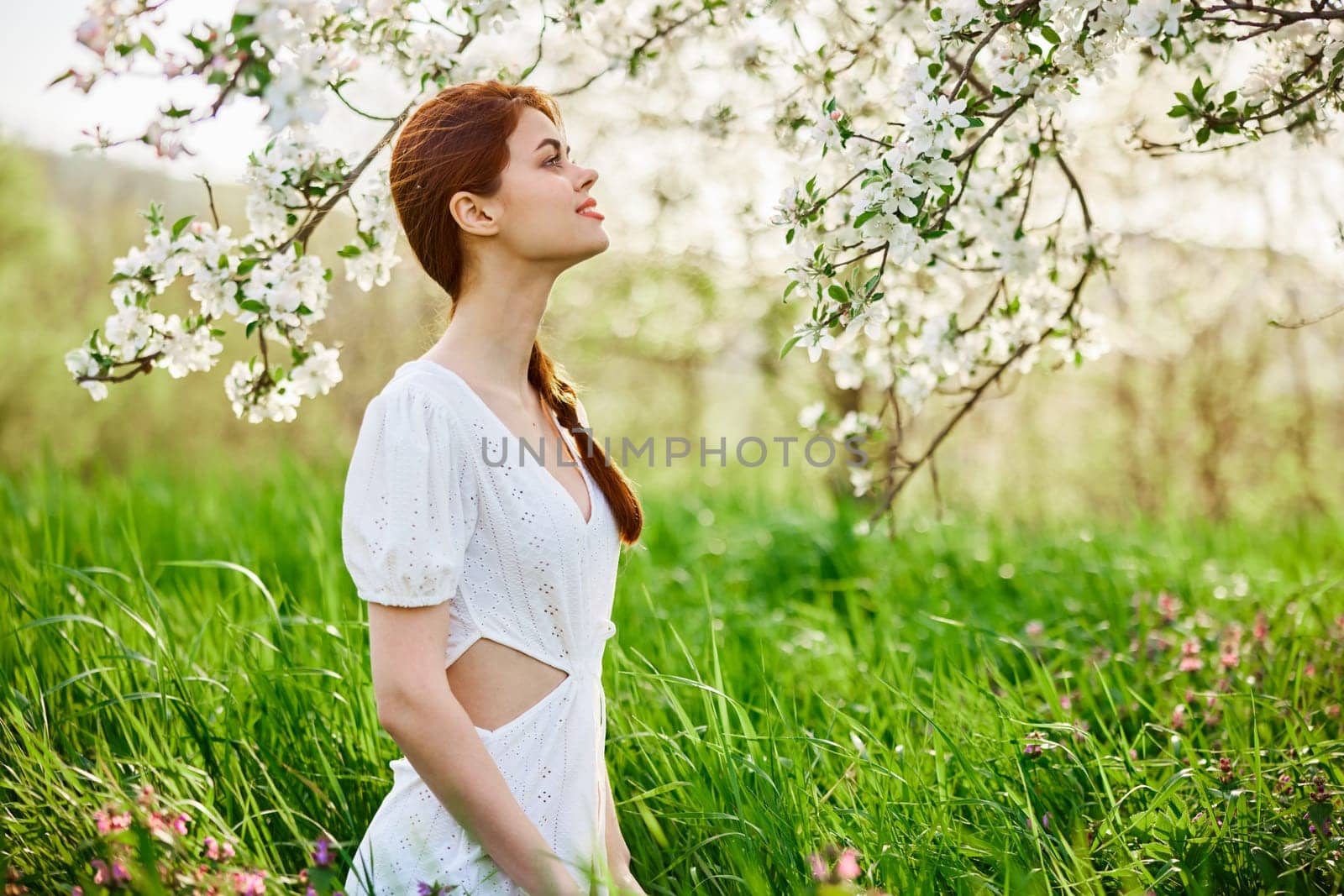 beautiful woman in a light dress posing next to a flowering tree in the countryside. High quality photo