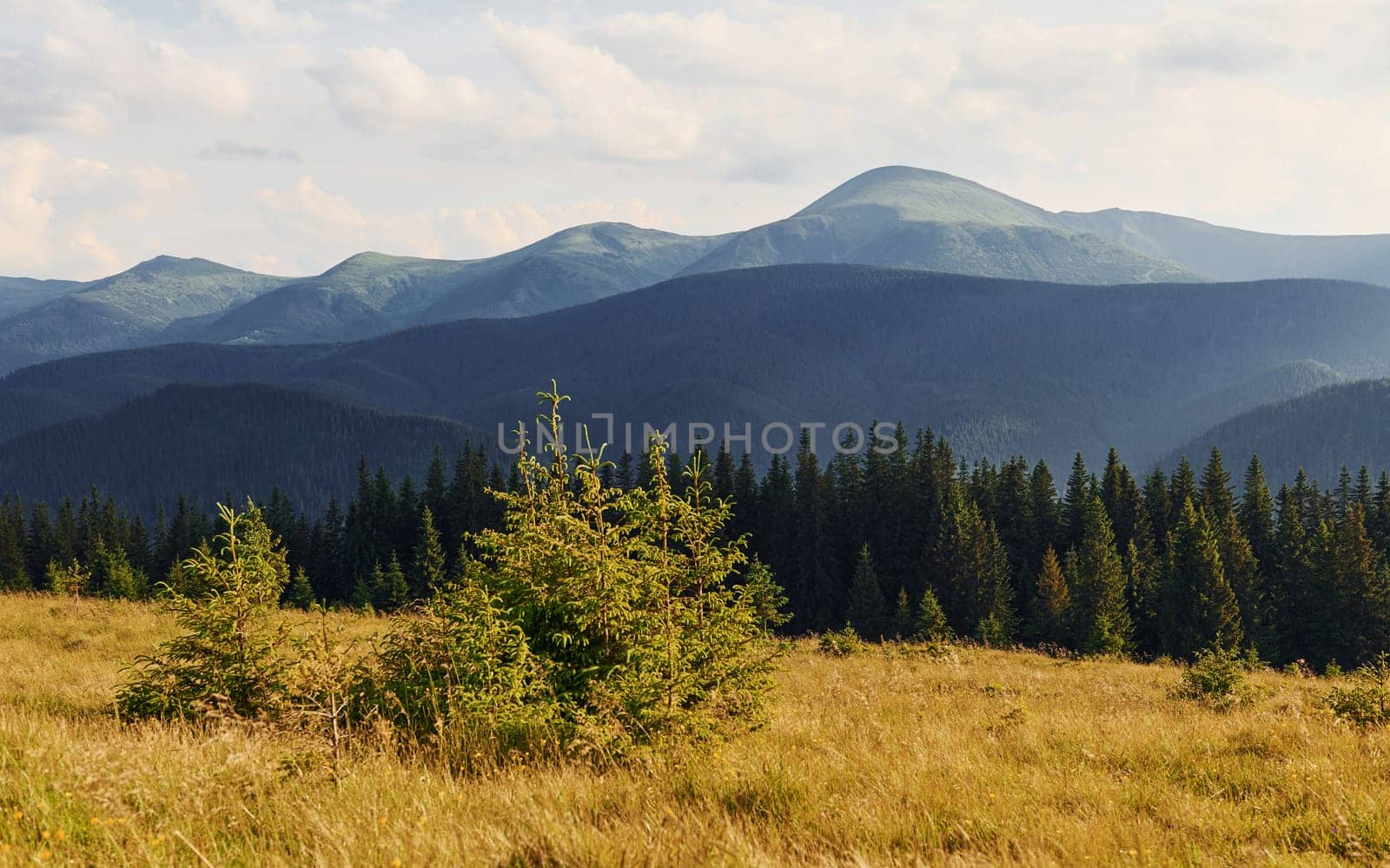 Cute young couple. Majestic Carpathian Mountains. Beautiful landscape of untouched nature.