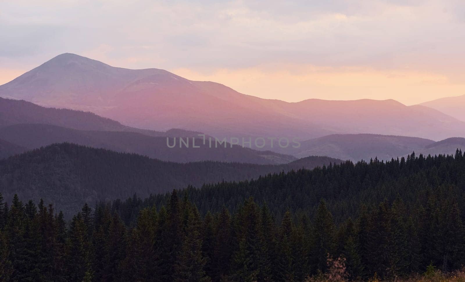 Majestic Carpathian Mountains. Beautiful landscape of untouched nature.