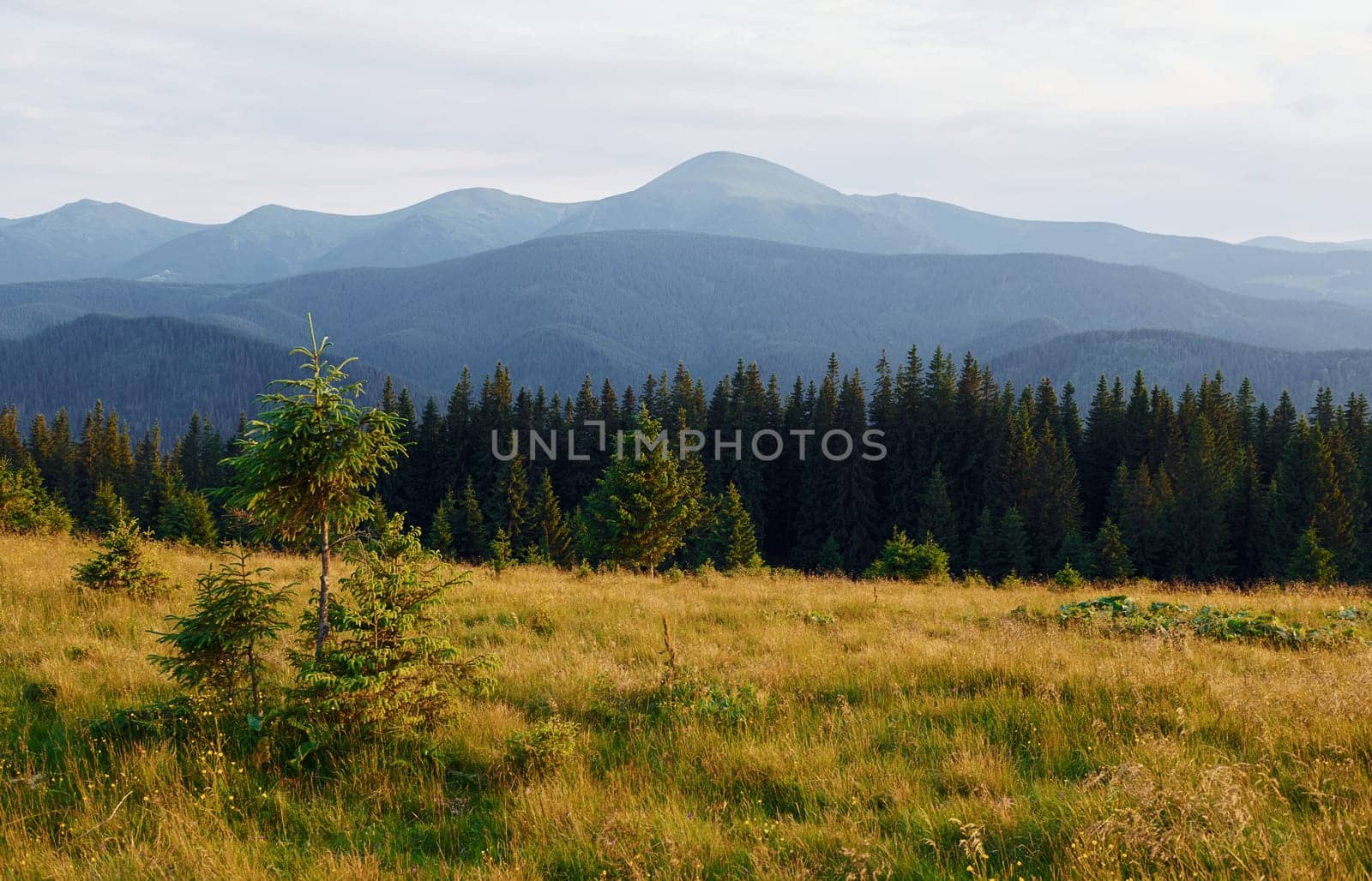 Majestic Carpathian Mountains. Beautiful landscape of untouched nature.