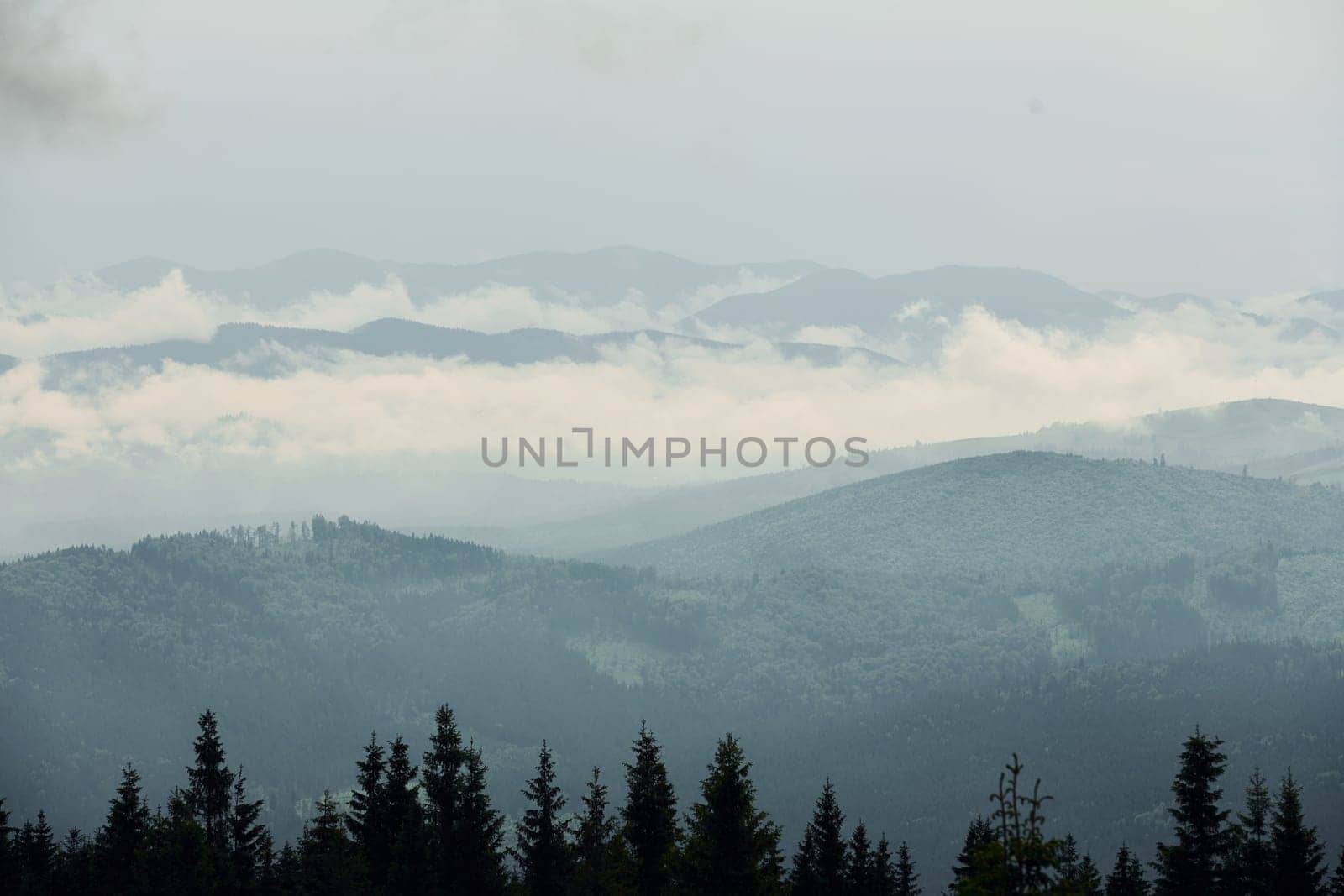 Majestic Carpathian Mountains. Beautiful landscape of untouched nature.