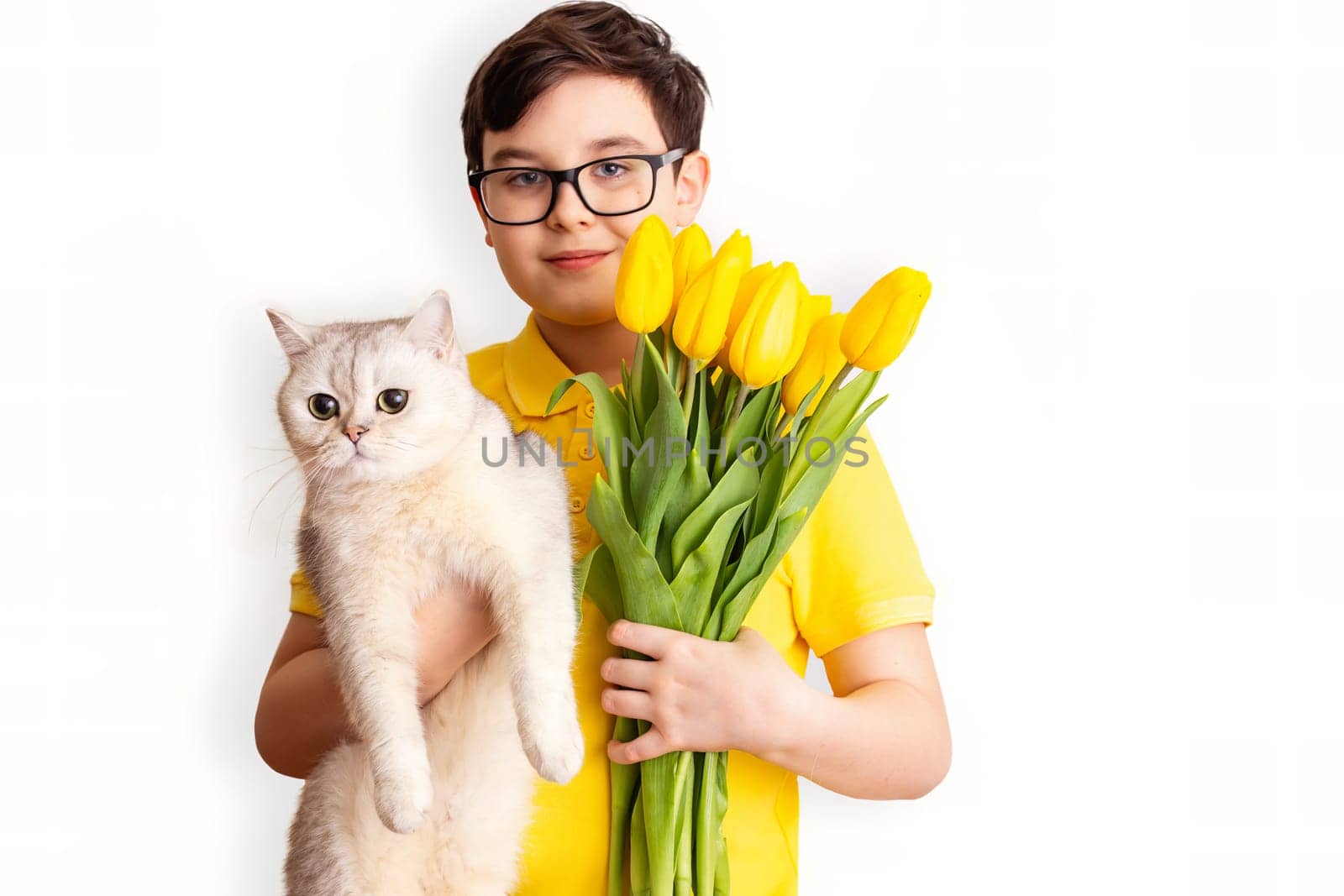 A happy cute boy in glasses and a yellow T-shirt holds a cute white cat and bouquet of yellow tulips, stands on a white background, isolated. Close up. Copy space.