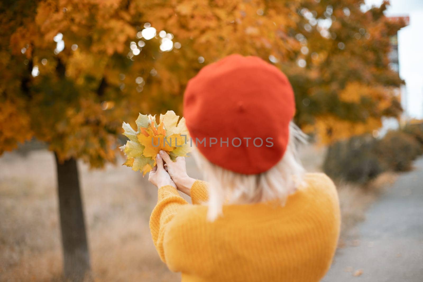 Woman holding autumn leafs in the nature. Autumn woman on leafs background.